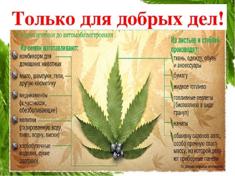 о целебных свойствах марихуаны